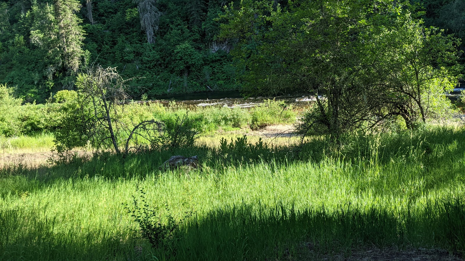 South Fork Campground