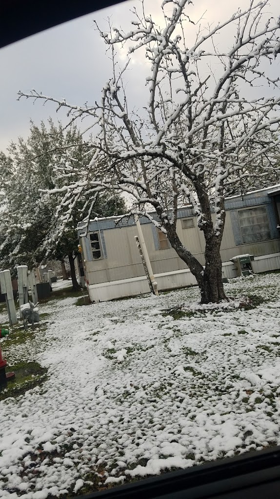 Primrose Lane RV Park