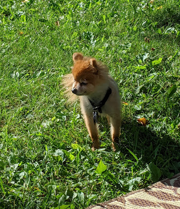 Hide - A- Way Cove Family Campground