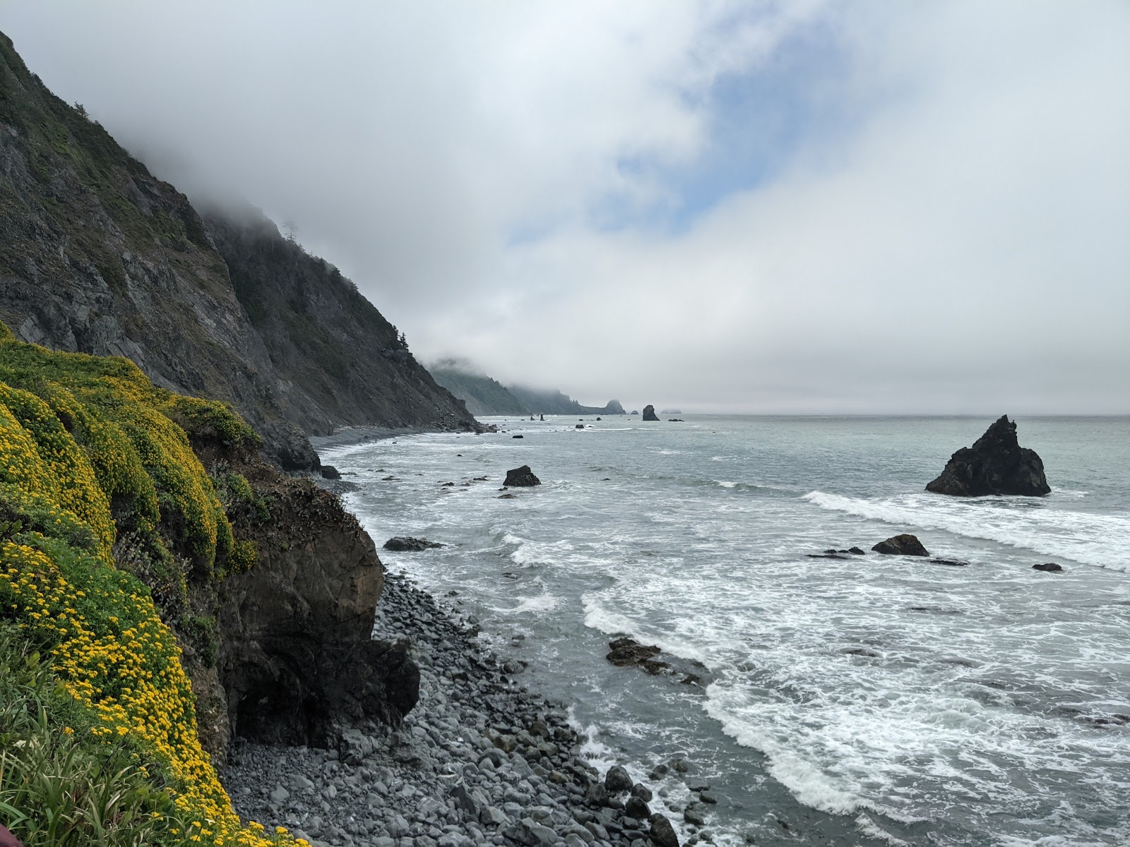 Del Norte Coast Redwoods State Park