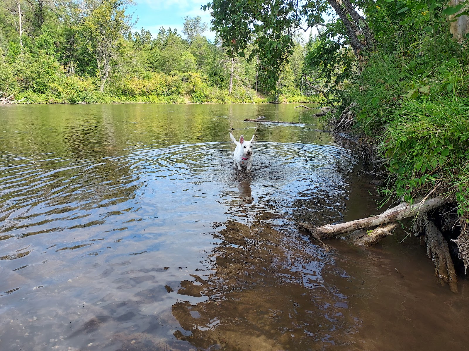 Parmalee Bridge SF Campground