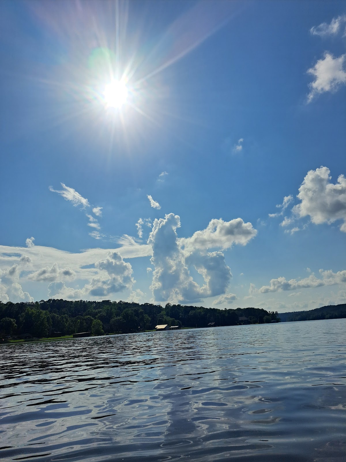 Lake Mitchell / Higgins Ferry Park