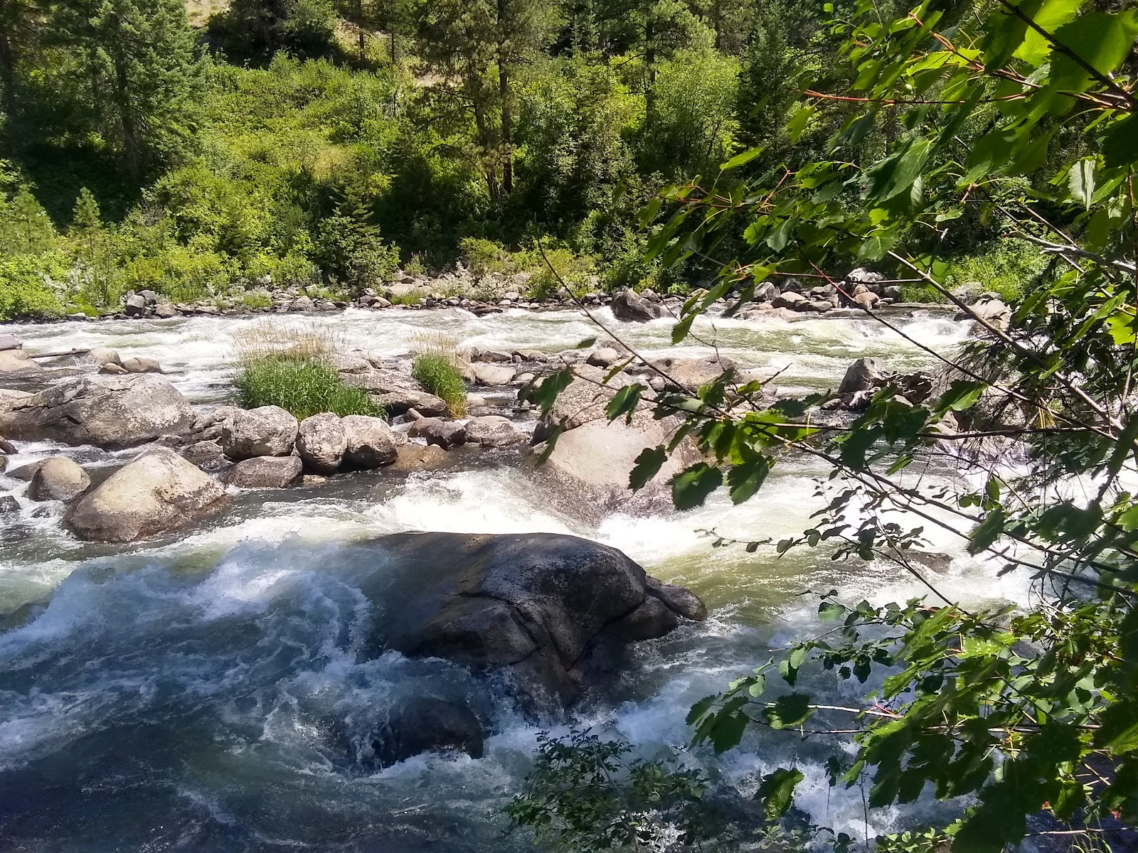 Cold Springs Group Only Campground