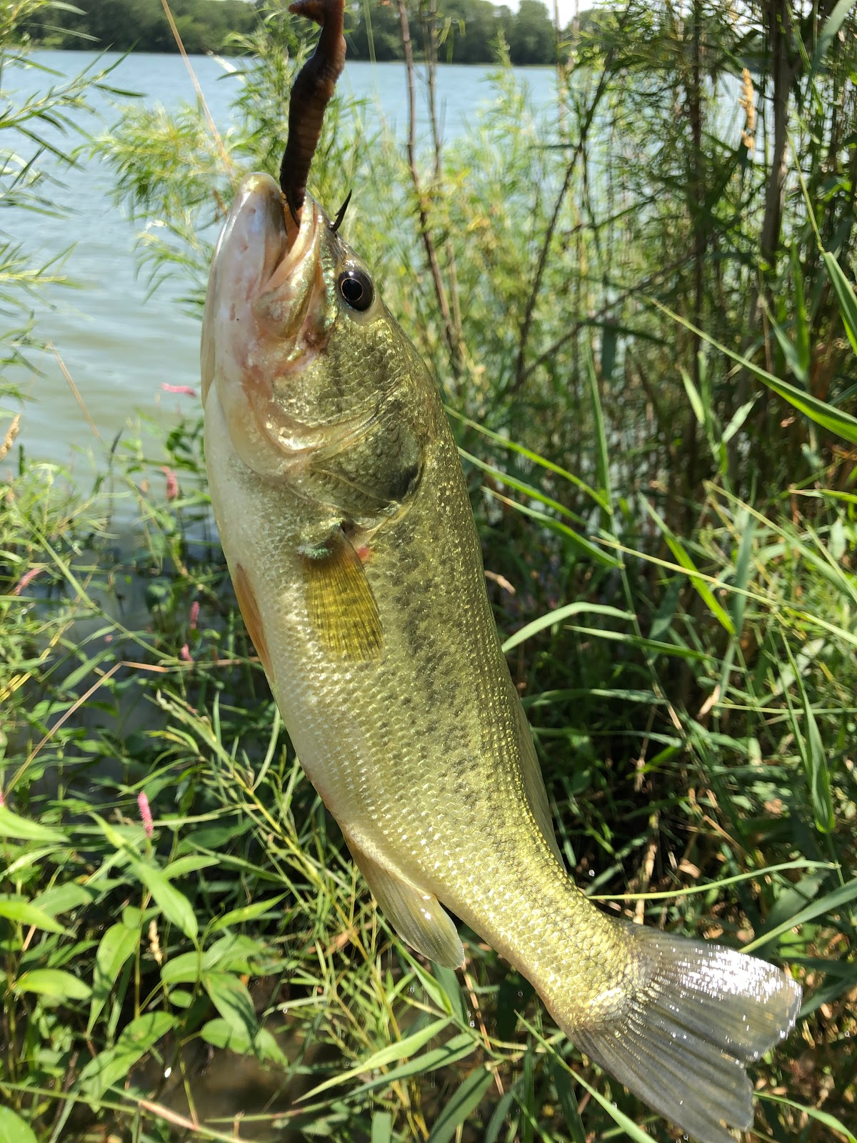 Olive Creek State Recreation Area