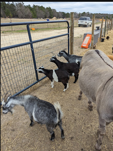 Outside Inn Campground