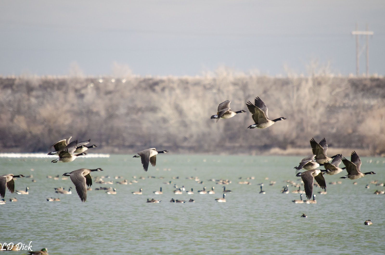 Rita Blanca Lake Park