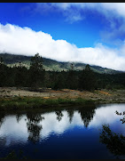 Laughing Alpaca Campground RV Park