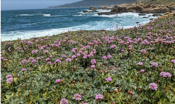 Gerstle Cove Campground