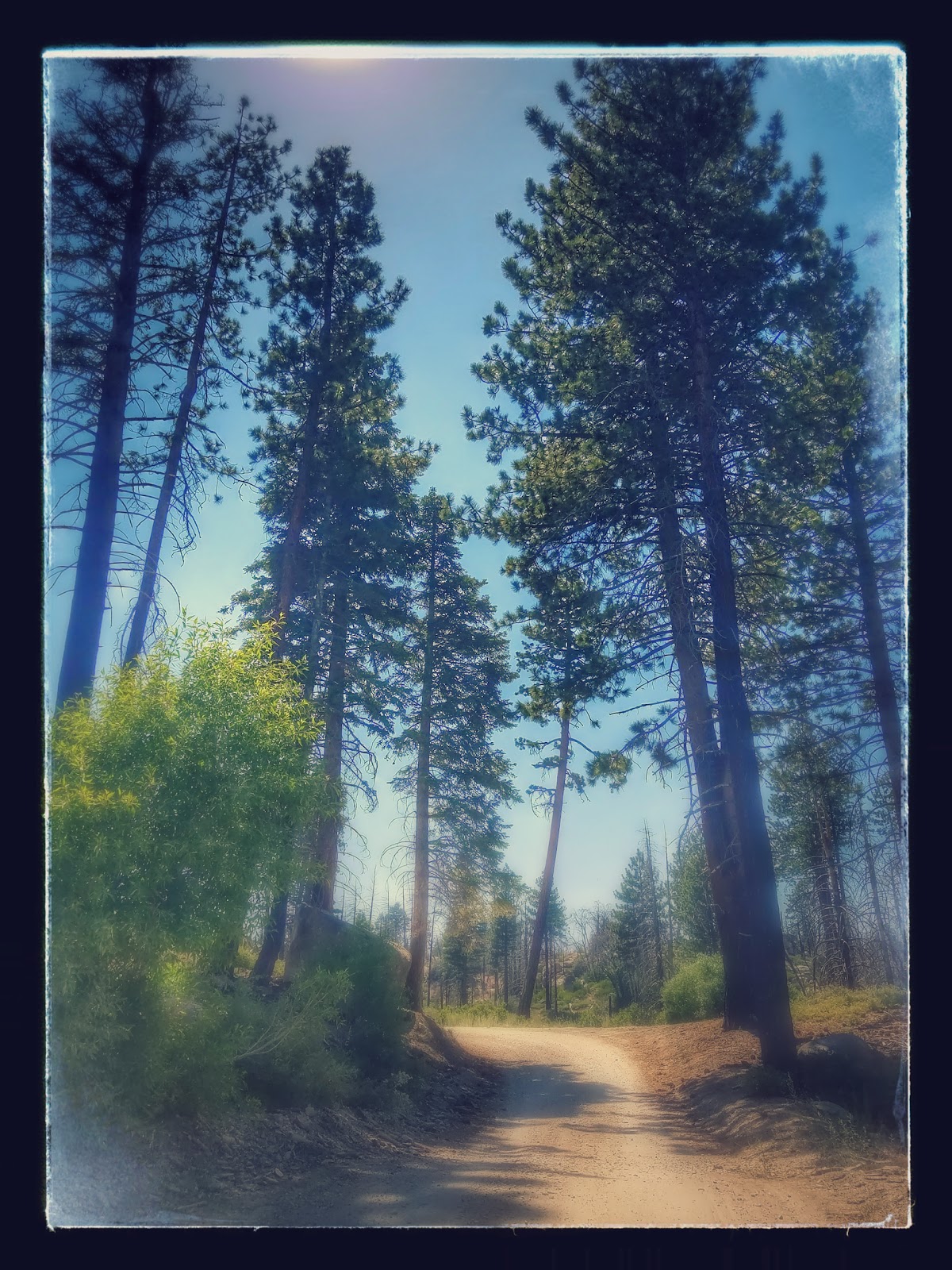 Grays Peak Group Campground