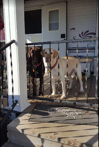 Family Camping Center