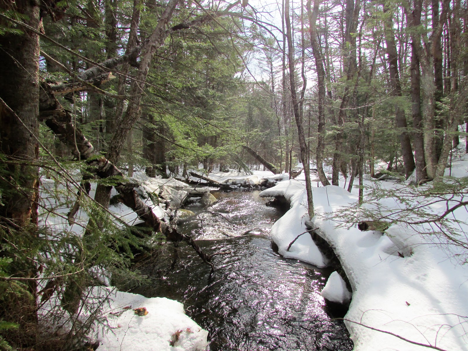 Loon Echo Land Trust