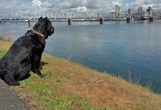 Jantzen Beach RV Park