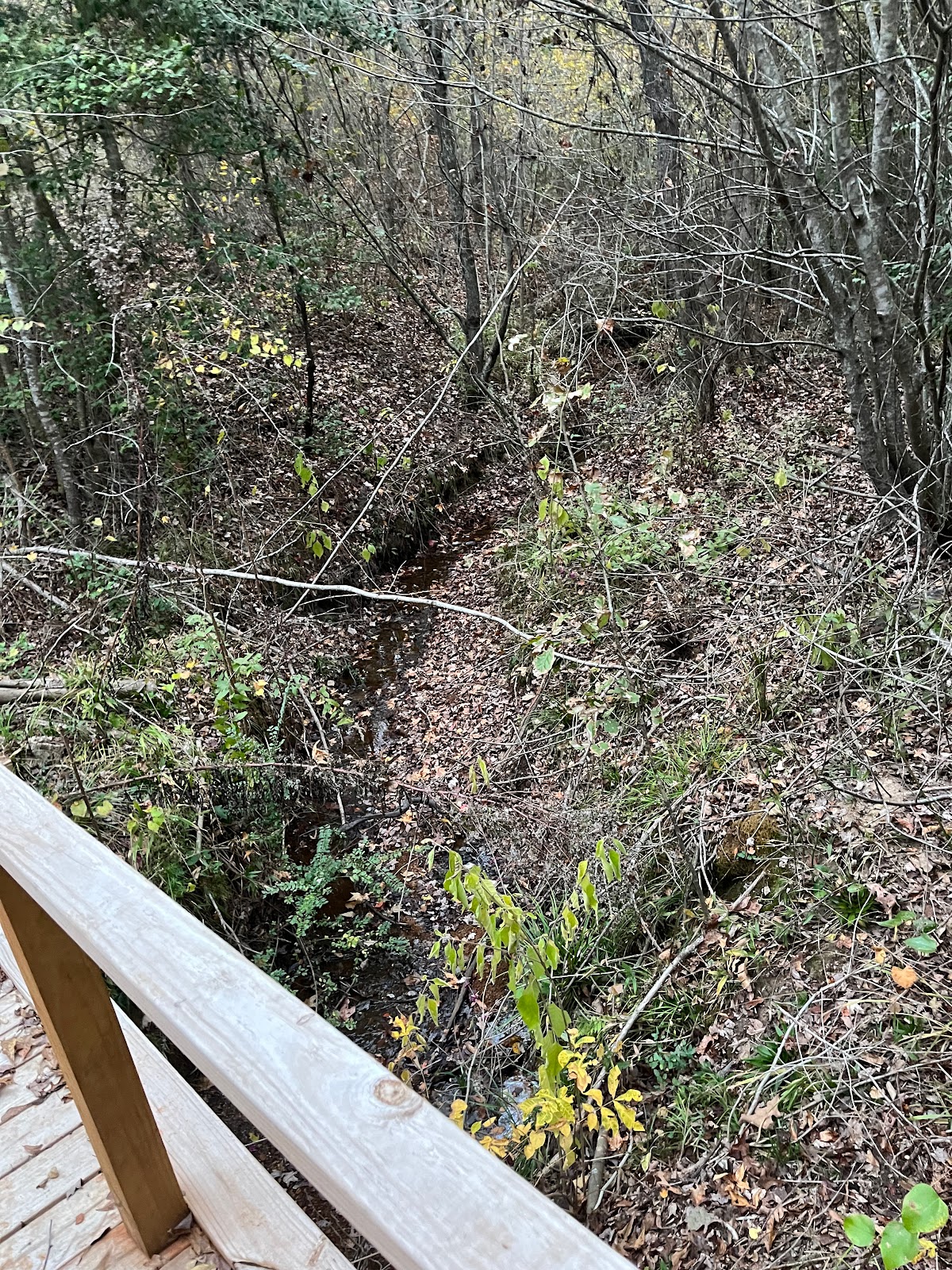 Nature’s Design RV Park