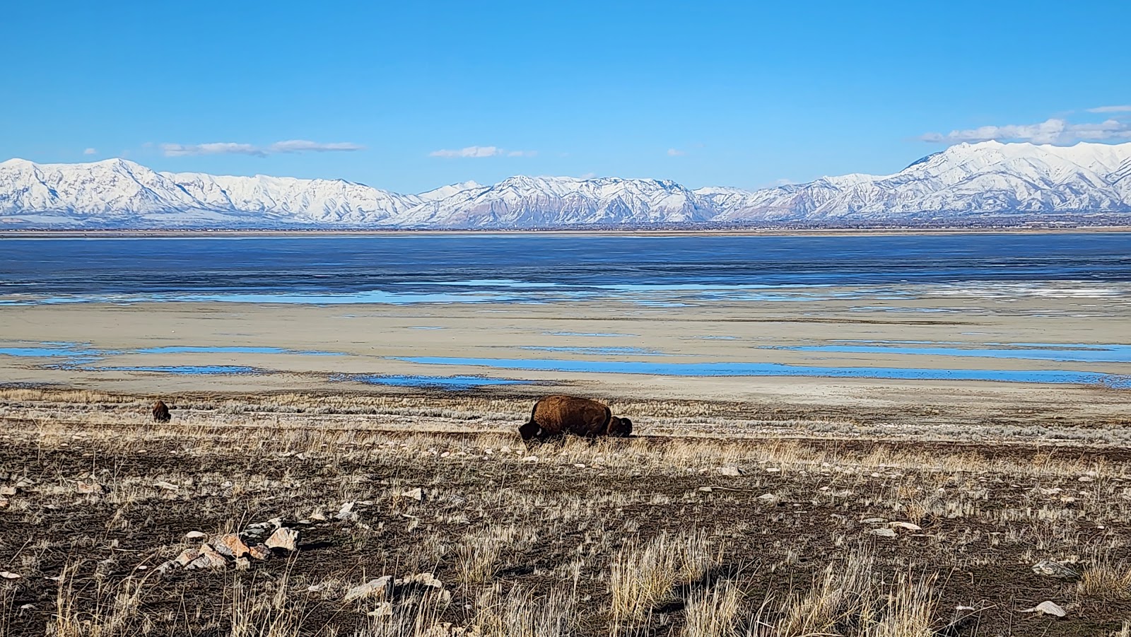 Antelope Island State Park