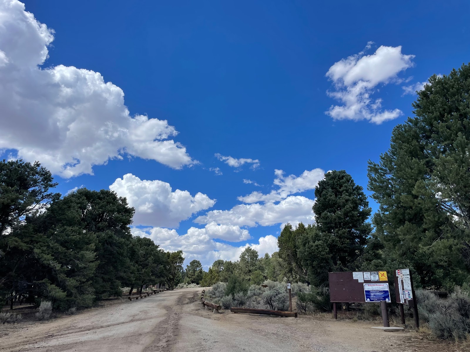 Bob Scott Campground