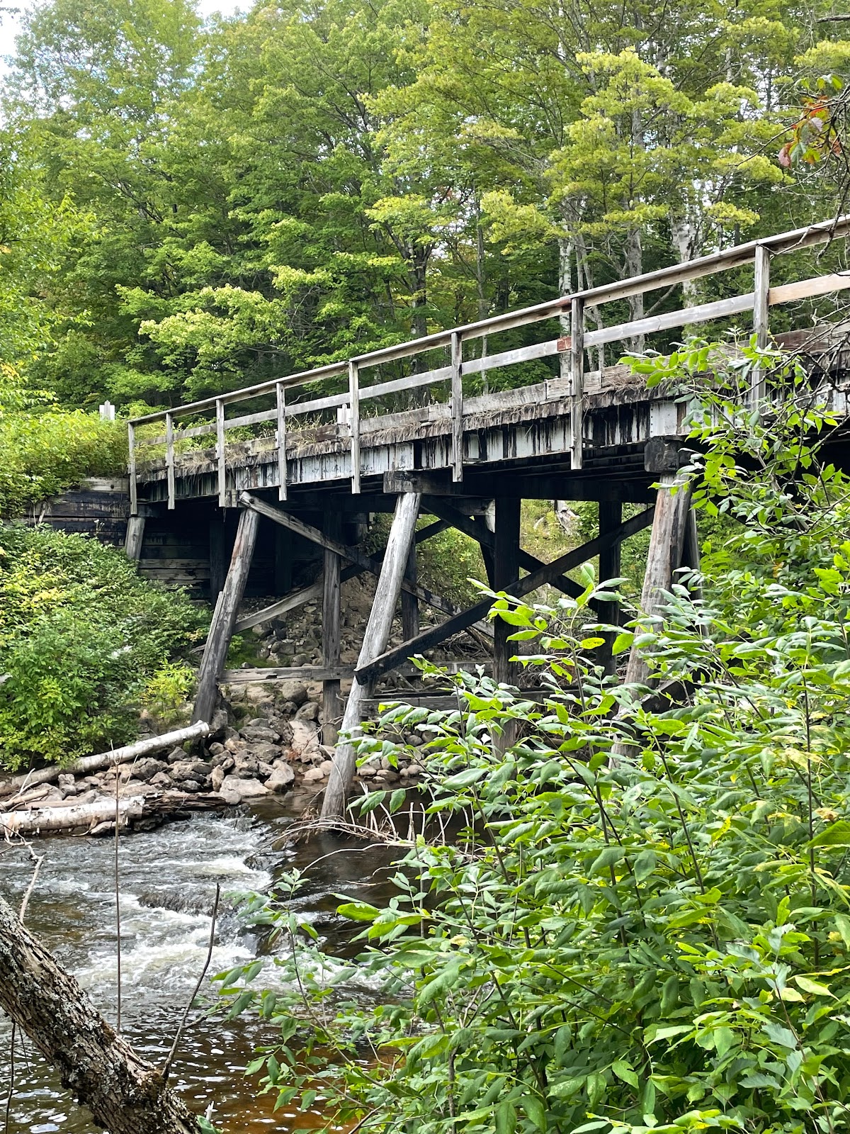 Lake Michigan NF Campground