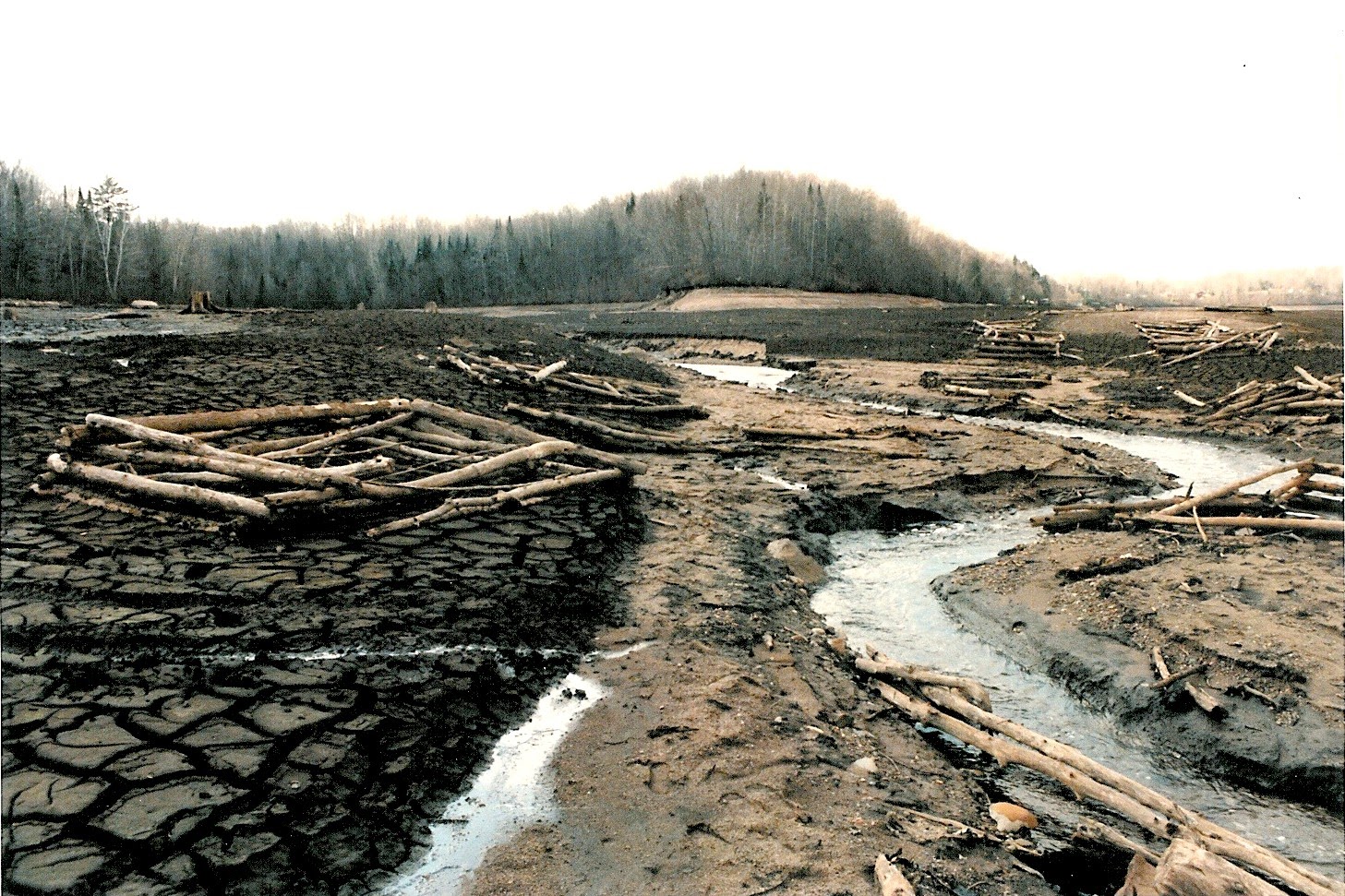 Josie Creek County Park