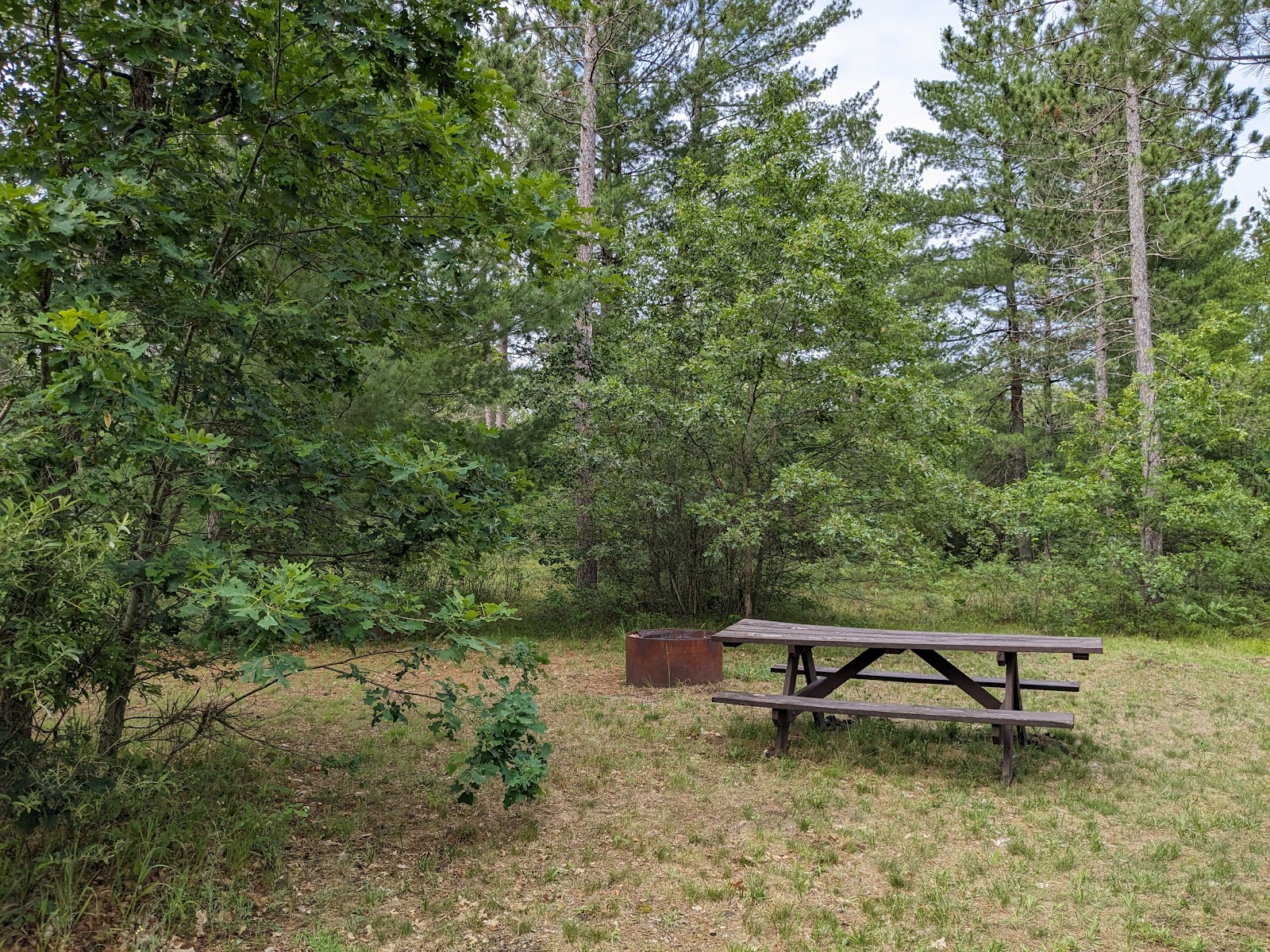 Jones Lake SF Campground