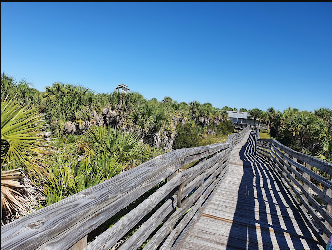 Caladesi Island State Park