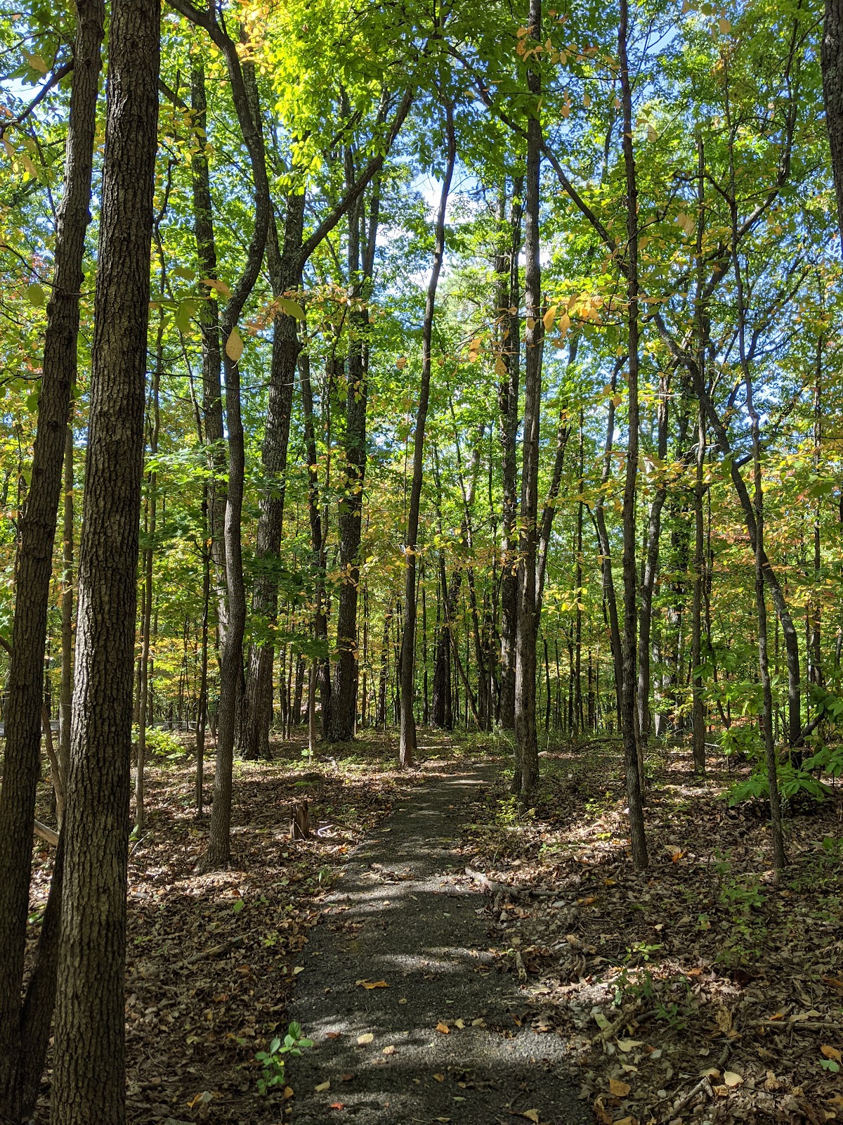 Roanoke Mountain Campground
