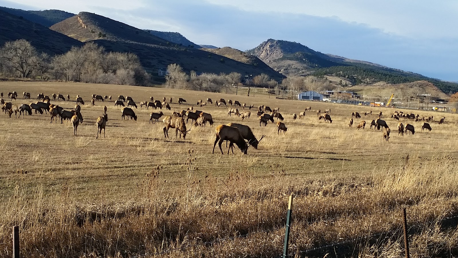 Carter Valley Campgrounds