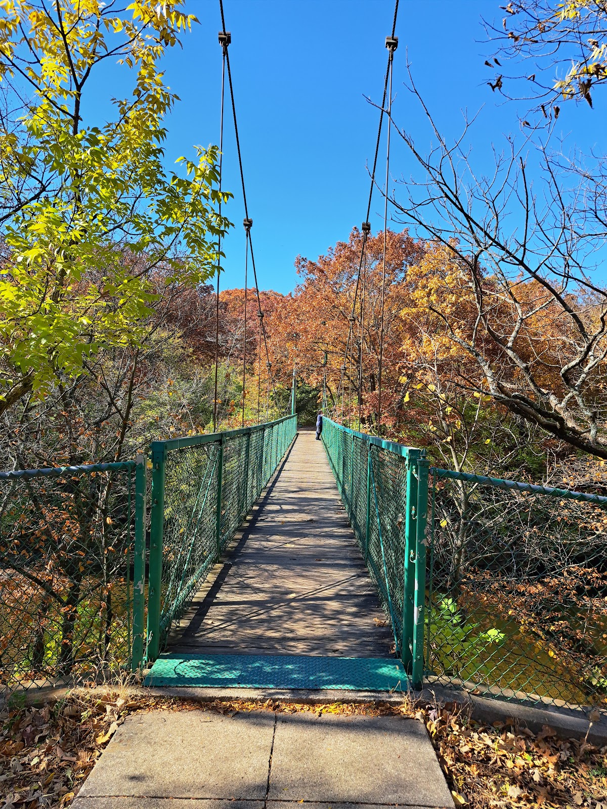 Potowatomi - Kankakee River State Park