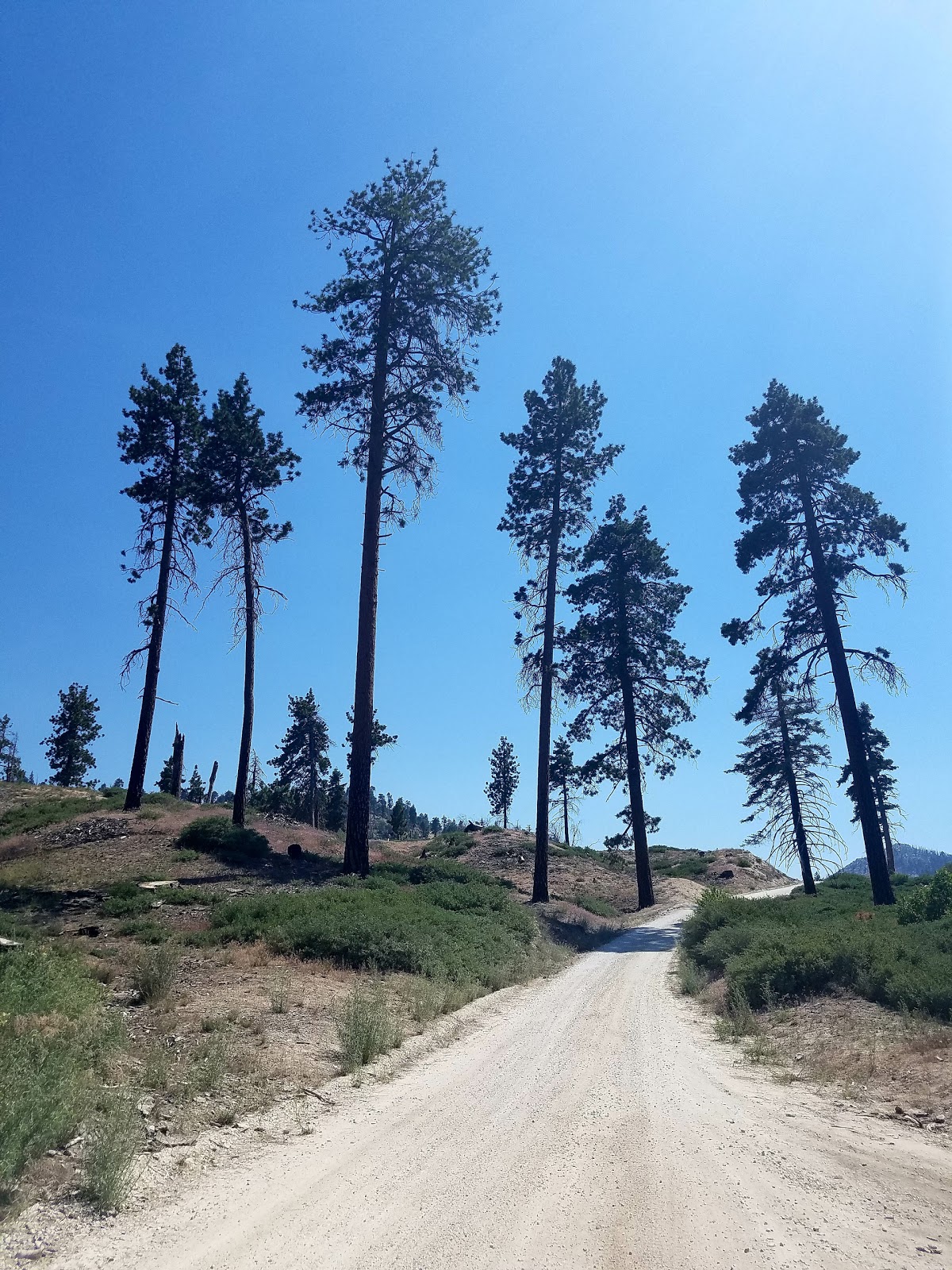 Grays Peak Group Campground