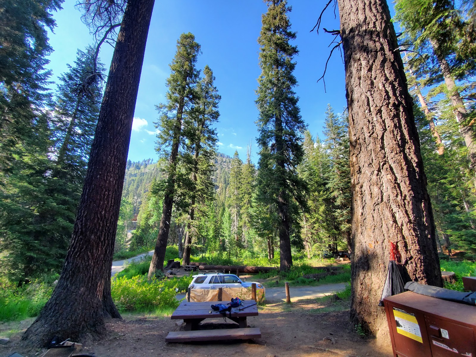 Cold Springs Campground (CA)