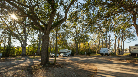 Allemond Point Campground