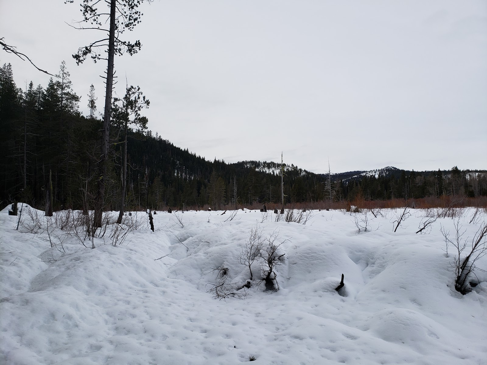Salmon Creek Campground