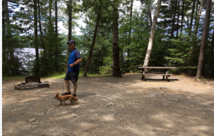 Dunn Point - Lily Bay State Park