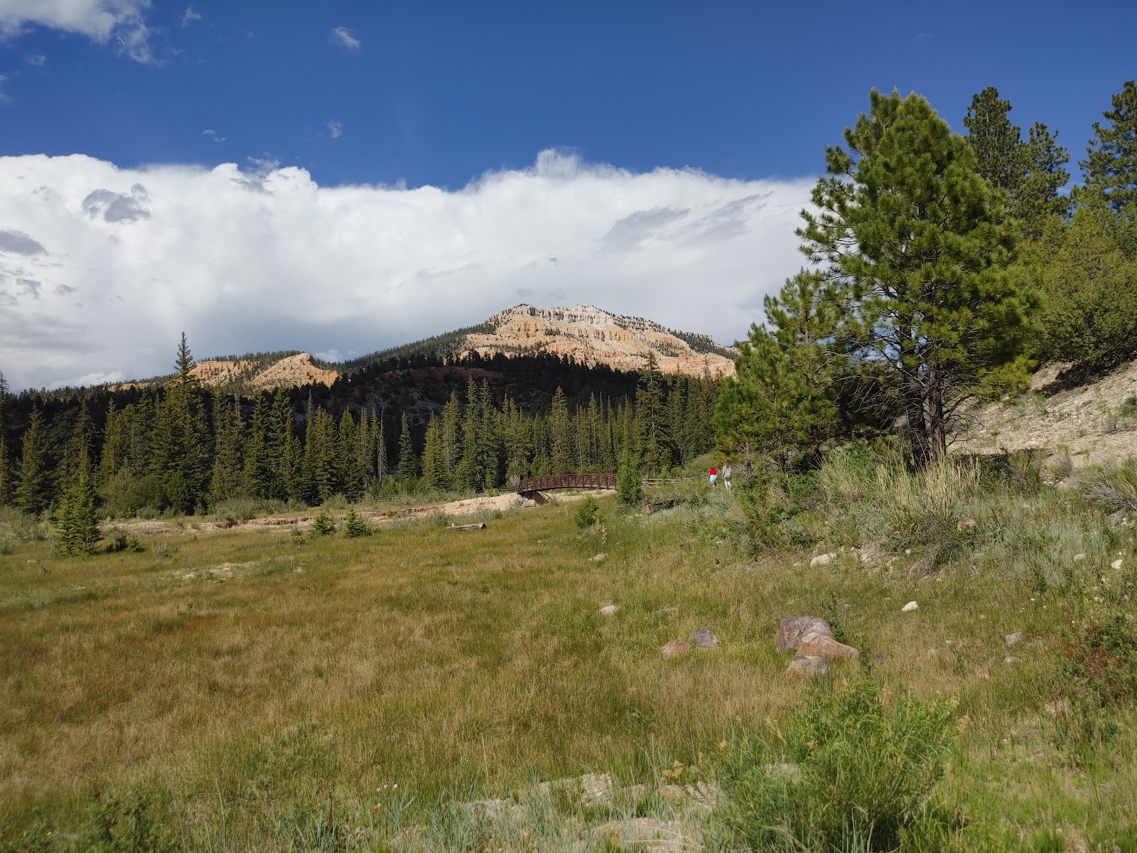 Pine Lake Campground