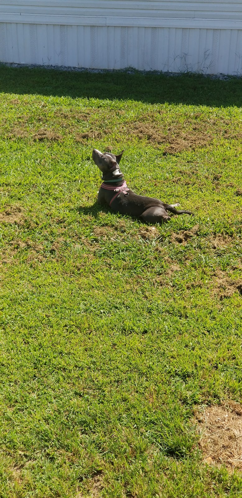 Homestead/Yarwood MHP