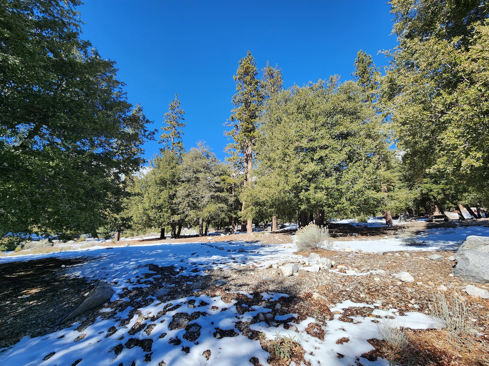 Crystal Lake Rec Area Campground
