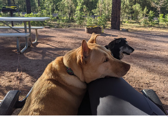 Sharp Creek Camp Grounds