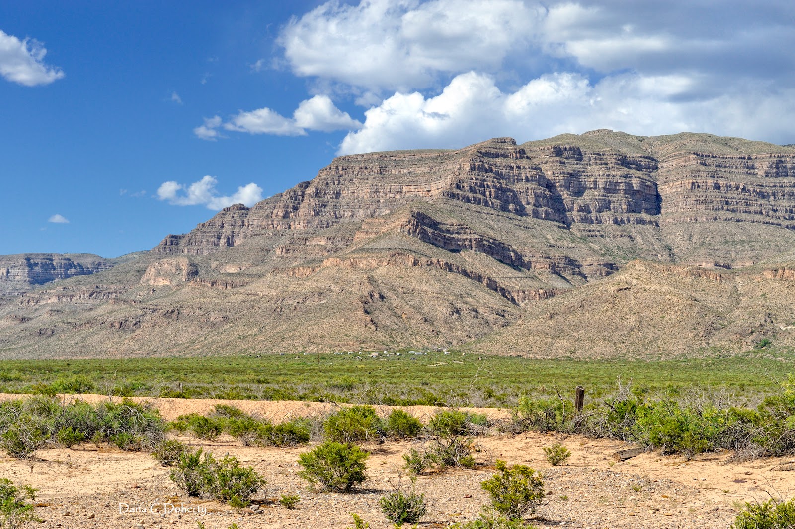 Oliver Lee Memorial State Park