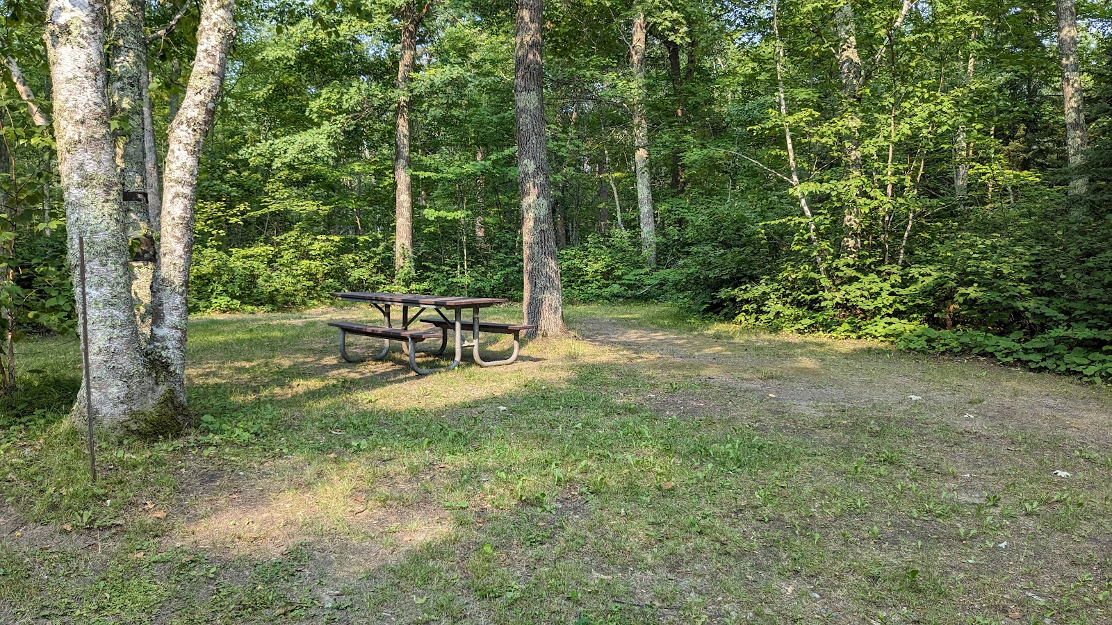 Mabel Lake Campground