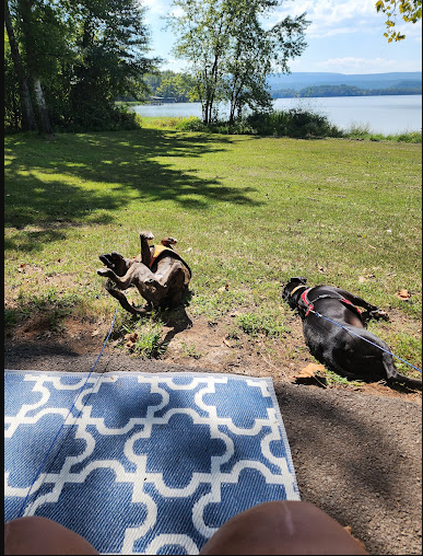 Shoal Bay Recreation Area & Campground