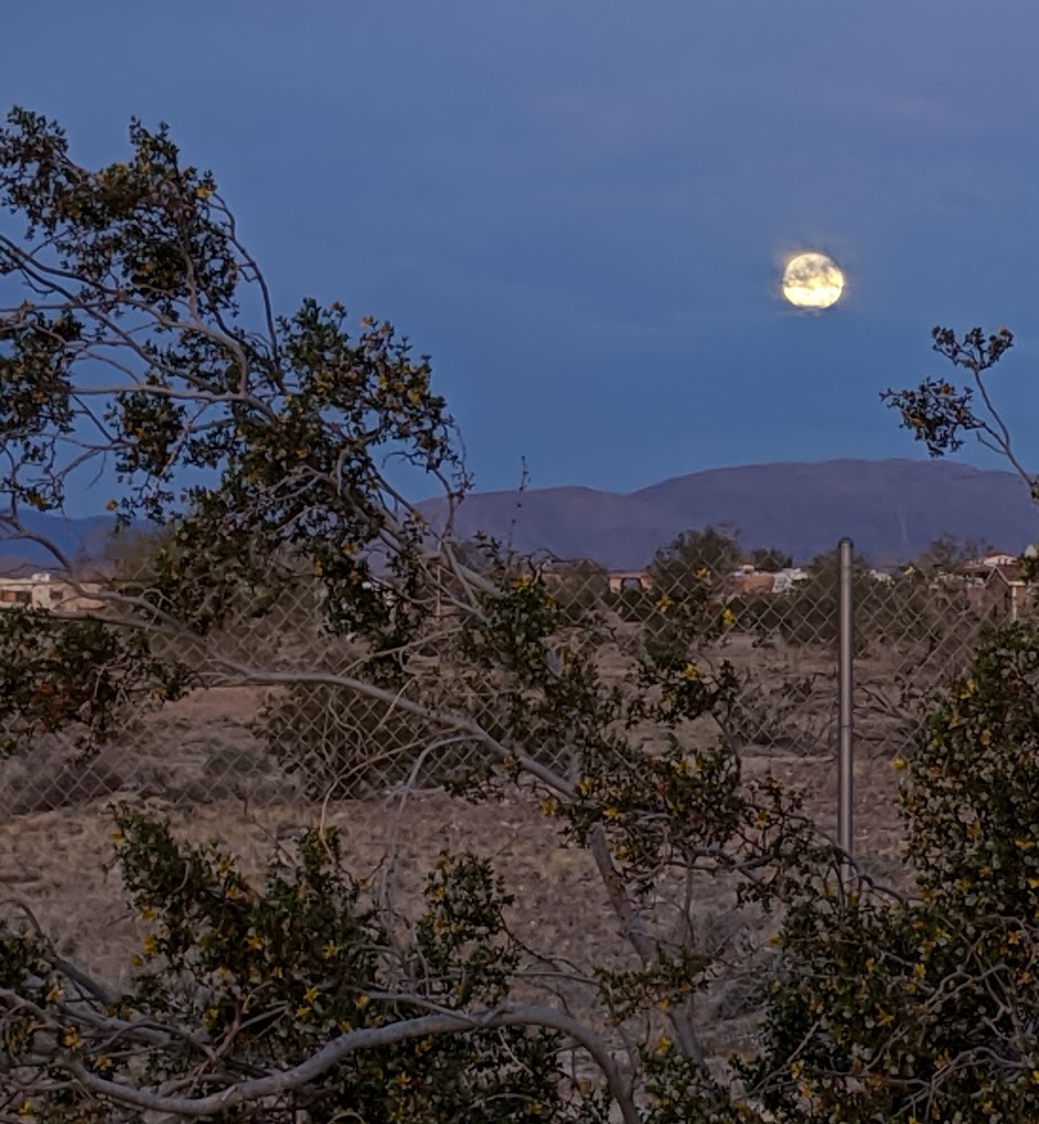 Leapin' Lizard RV Ranch