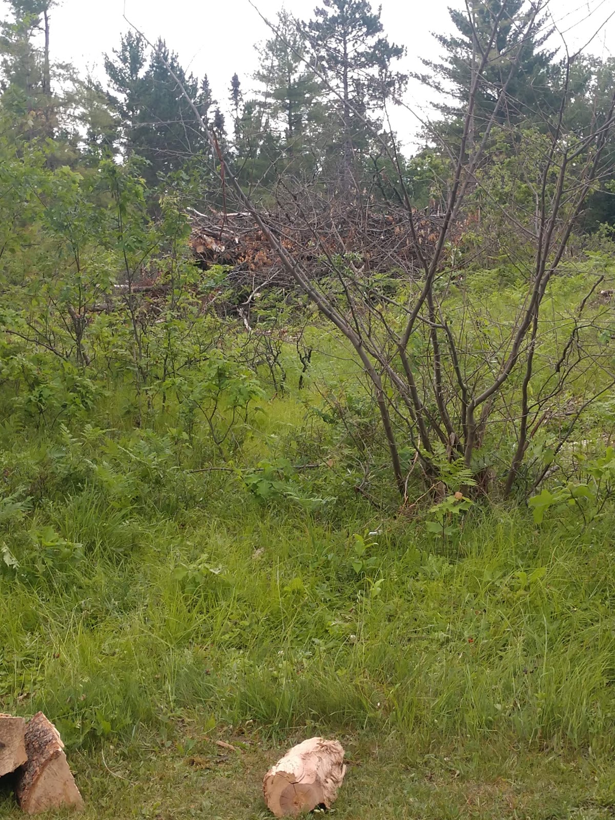 West Bass Lake Park and Campground