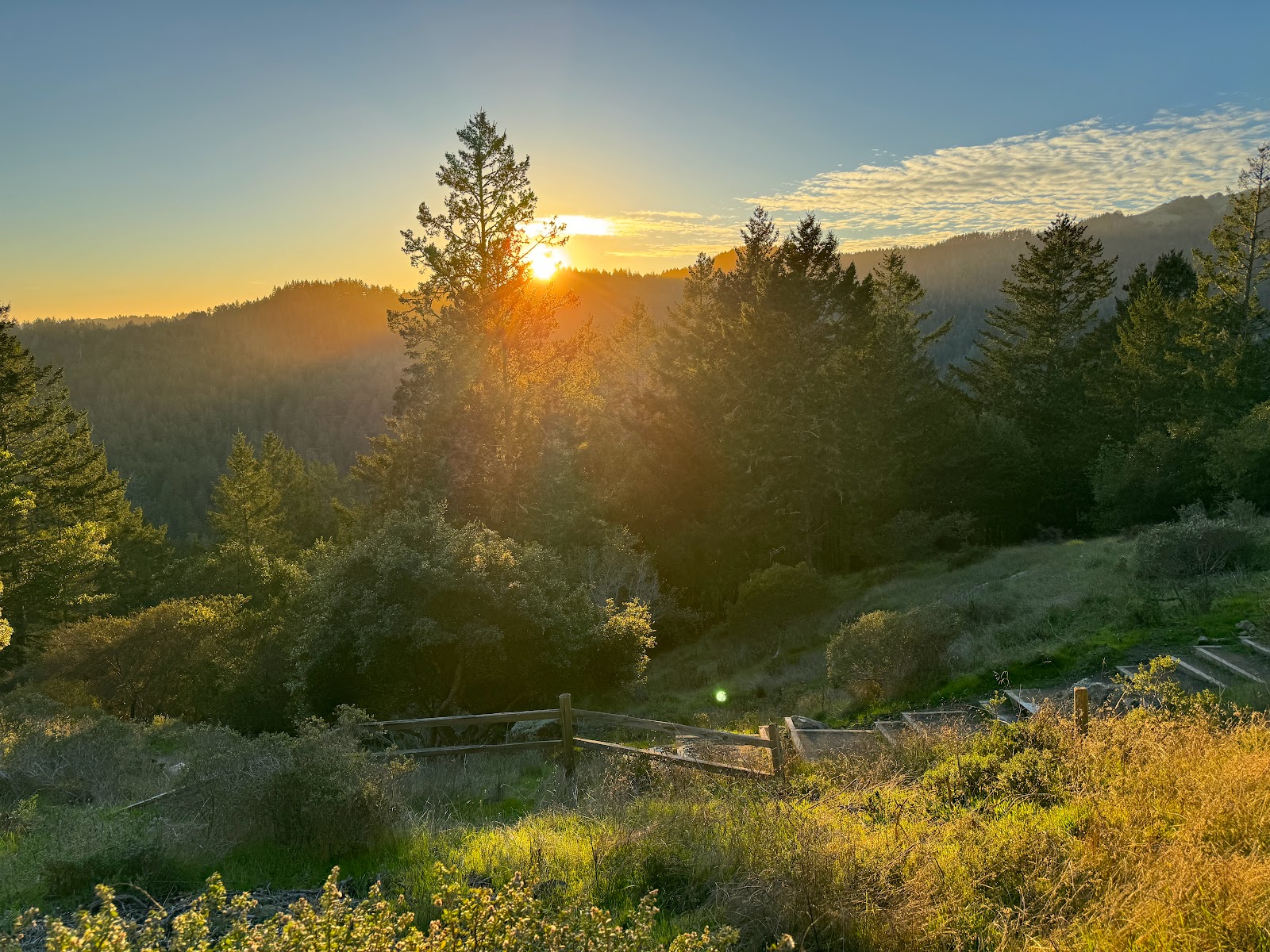 Mount Tamalpais State Park