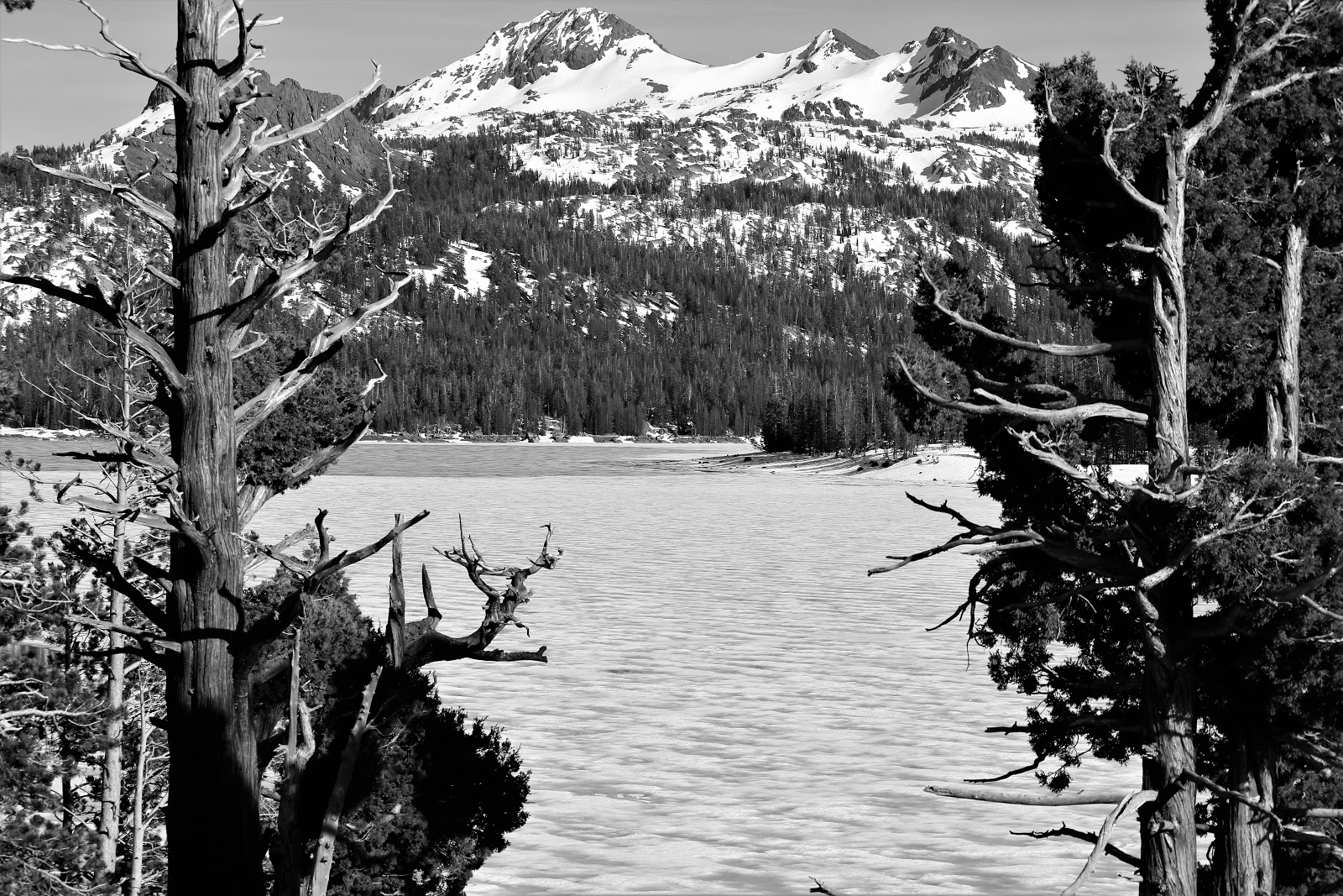 Caples Lake Campground