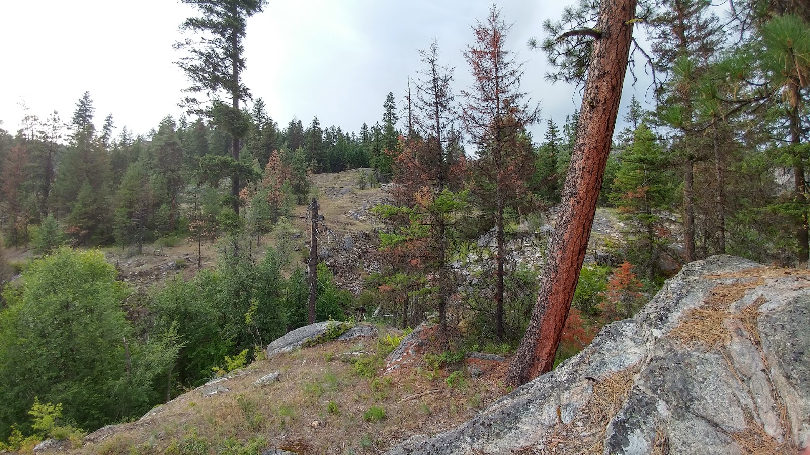 Lake Ellen Campground
