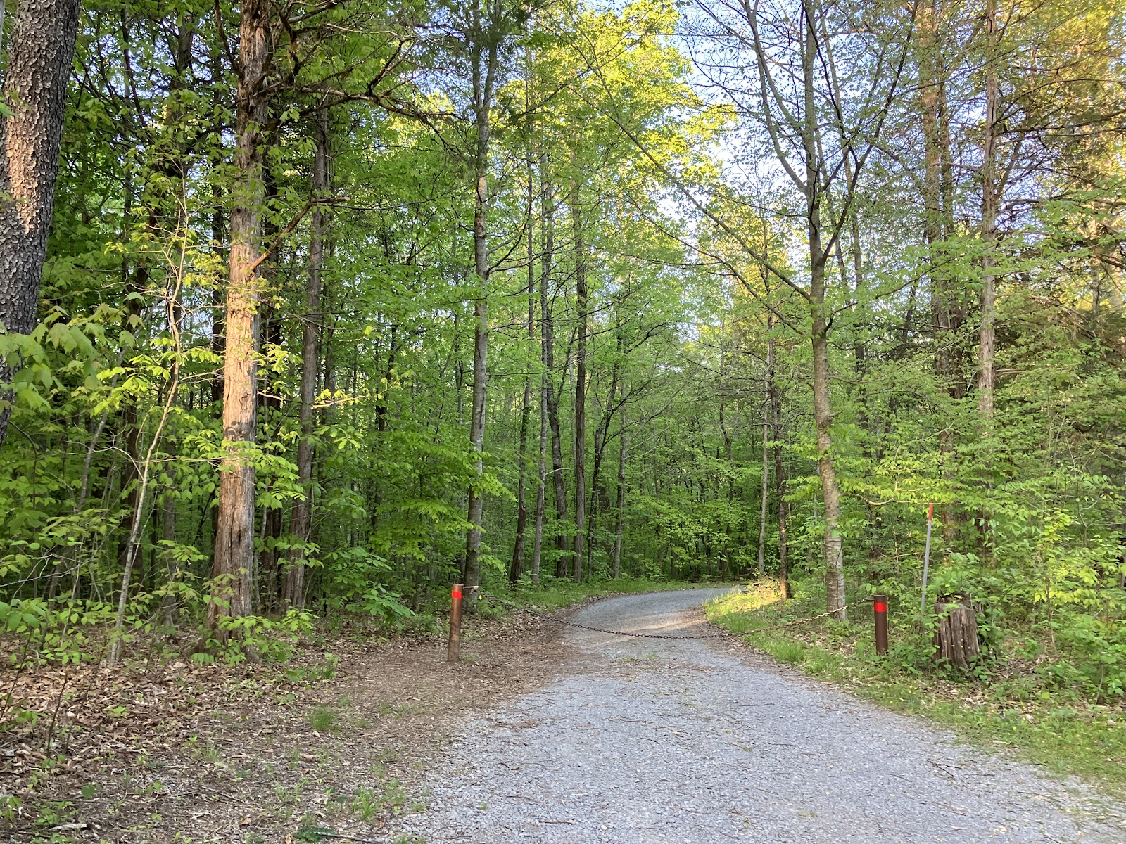 Wilderness Road Campground