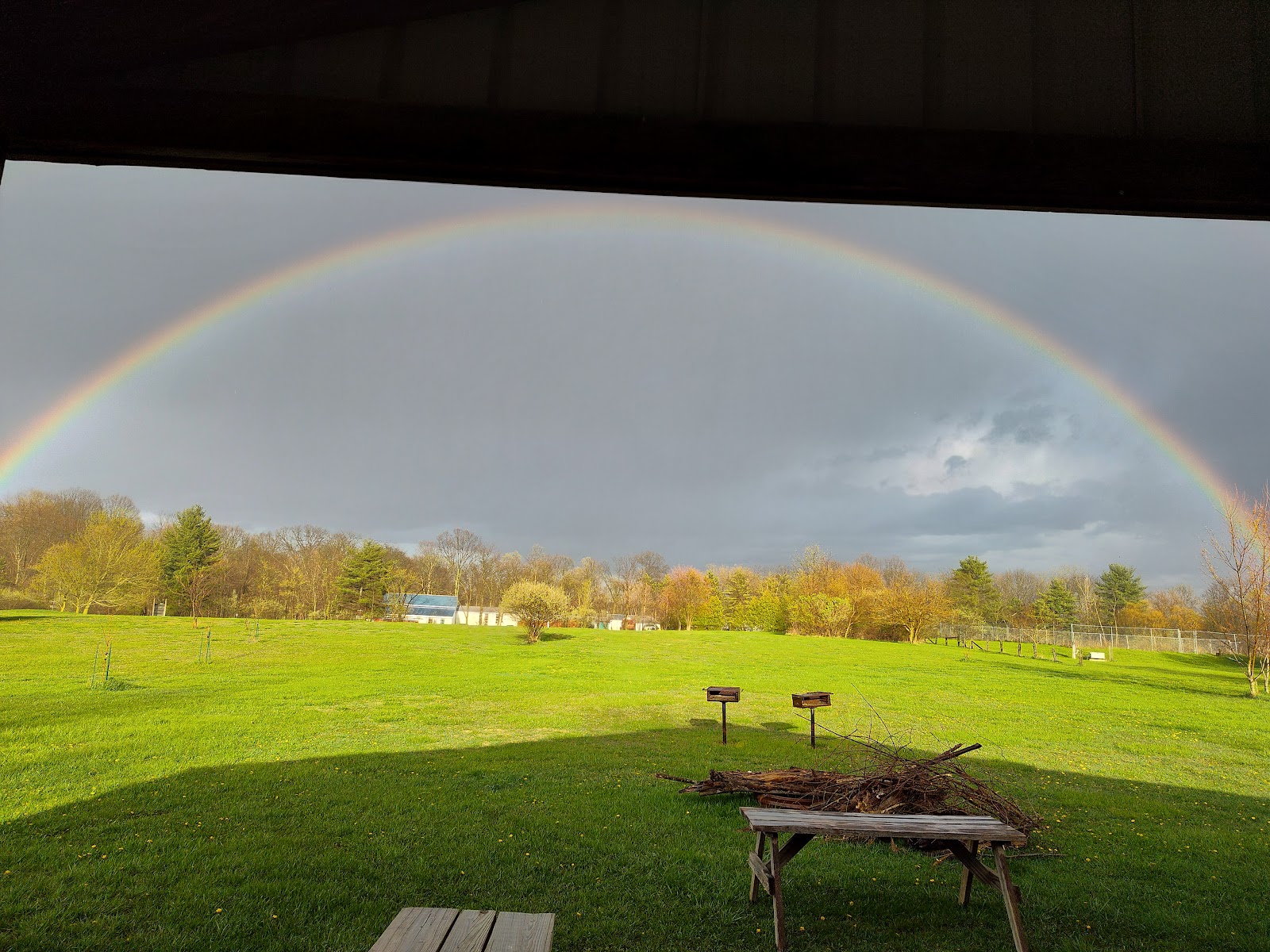 Honey Bear Hollow Family Campground