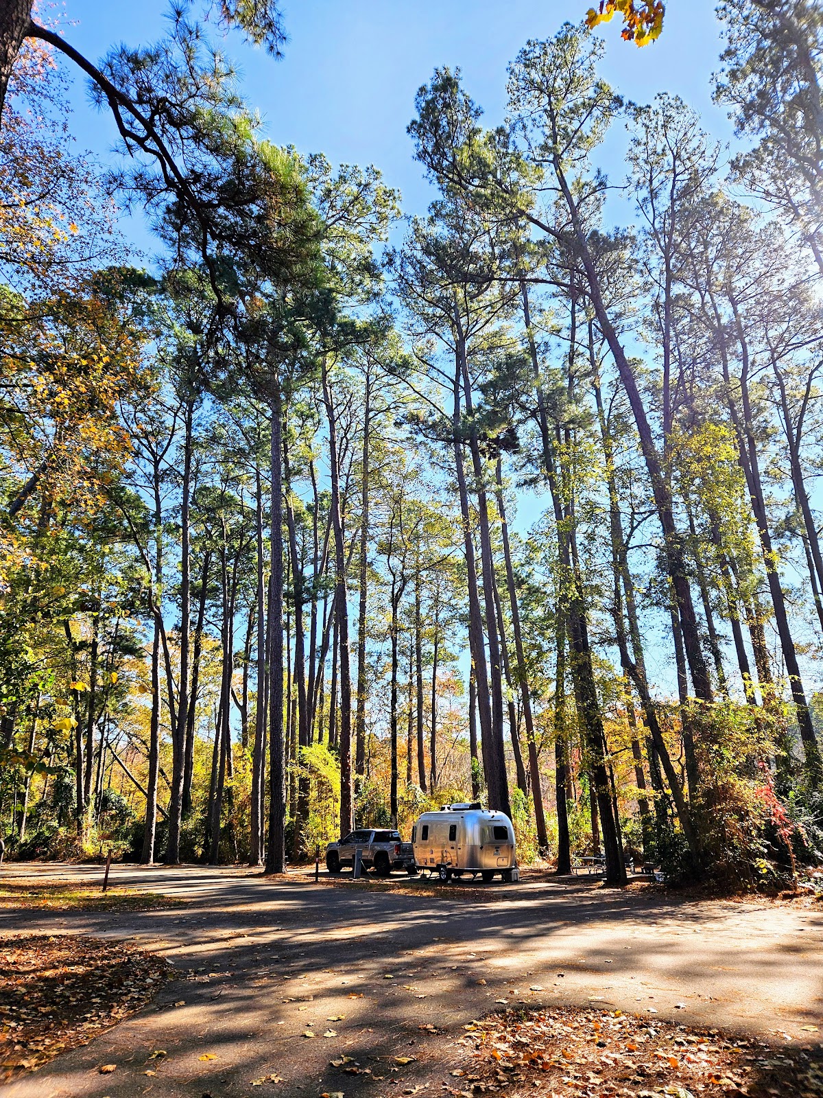 Daingerfield State Park