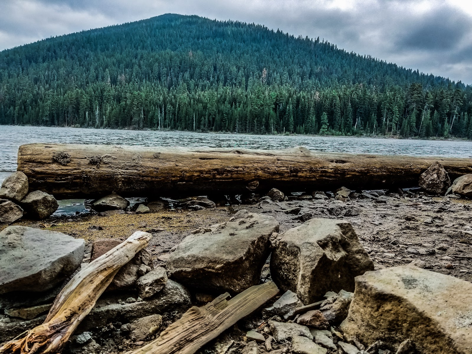 Little Cultus Campground