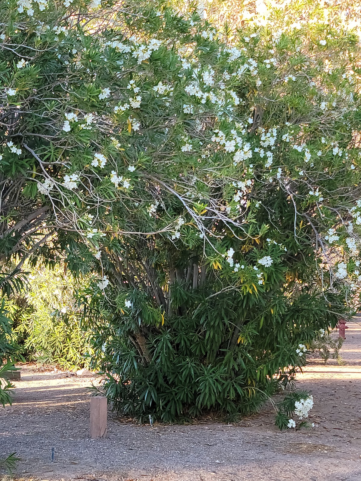 Las Vegas Bay Campground