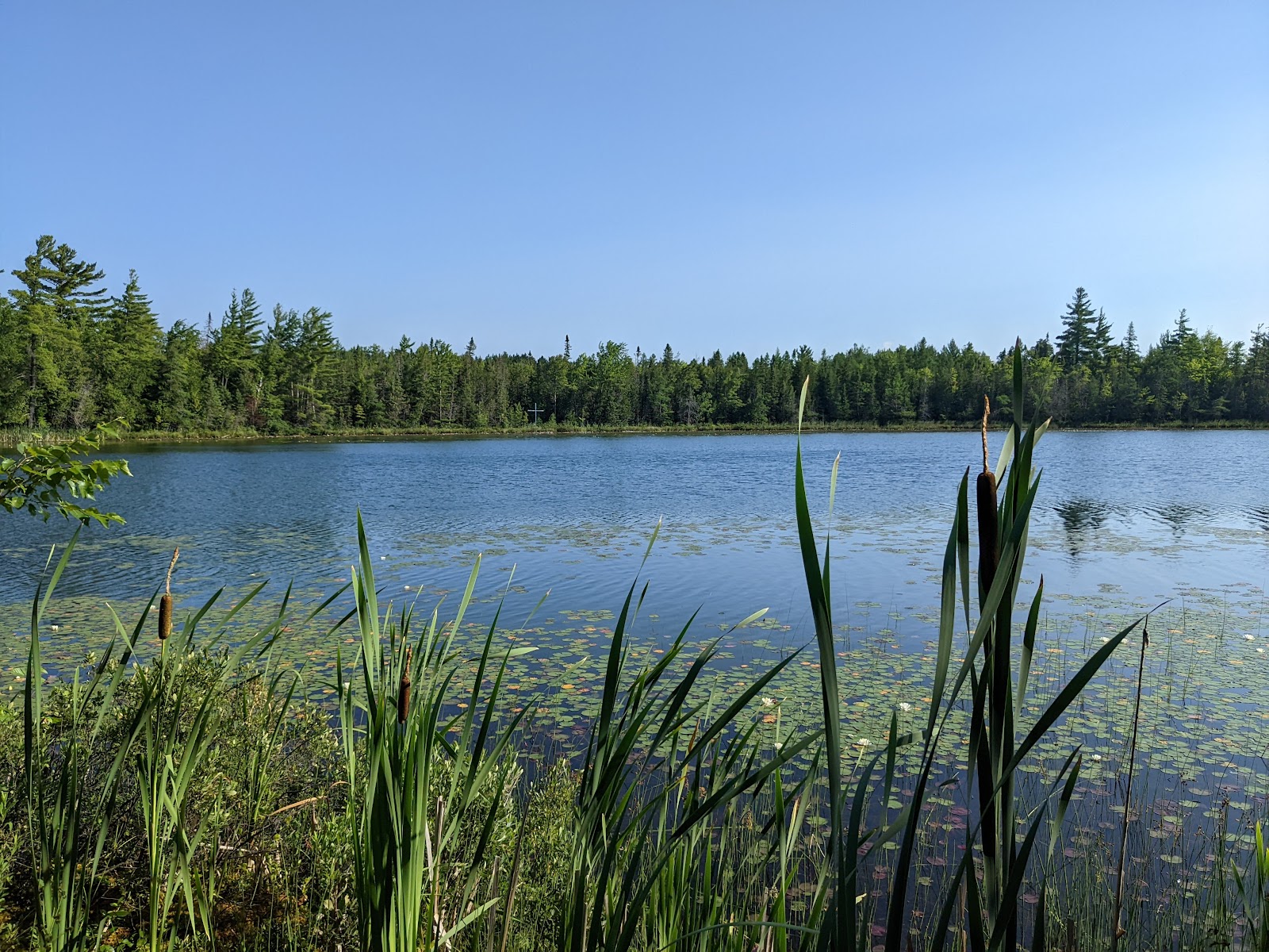 Bambi Lake Baptist Camp