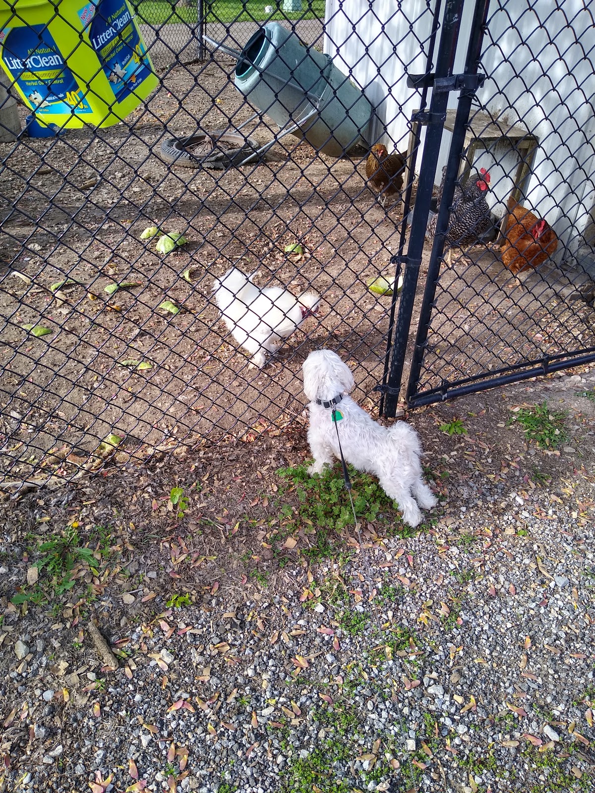 Forbes Landing RV Park